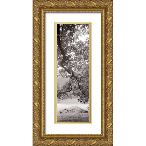 Hampton Field Tree - 1 Gold Ornate Wood Framed Art Print with Double Matting by Blaustein, Alan