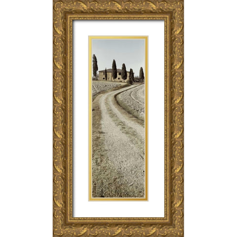 Tuscany - 17 Gold Ornate Wood Framed Art Print with Double Matting by Blaustein, Alan