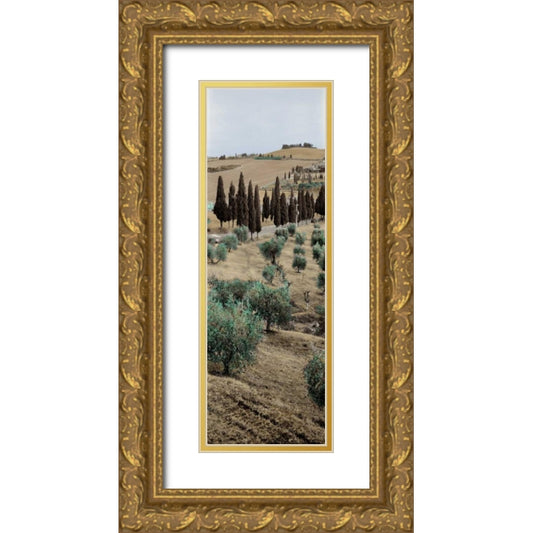 Perspective Image