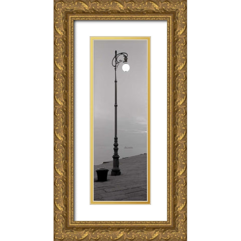 Treiste - 1 Gold Ornate Wood Framed Art Print with Double Matting by Blaustein, Alan