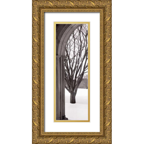 Hampton Winter Arch Gold Ornate Wood Framed Art Print with Double Matting by Blaustein, Alan