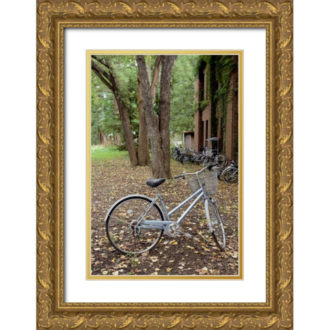 Japan Bicycle - 9 Gold Ornate Wood Framed Art Print with Double Matting by Blaustein, Alan