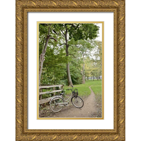 Japan Bicycle - 24 Gold Ornate Wood Framed Art Print with Double Matting by Blaustein, Alan