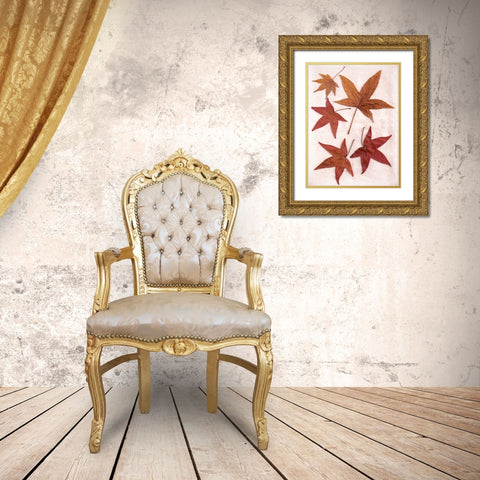 Floral - 24 Gold Ornate Wood Framed Art Print with Double Matting by Blaustein, Alan
