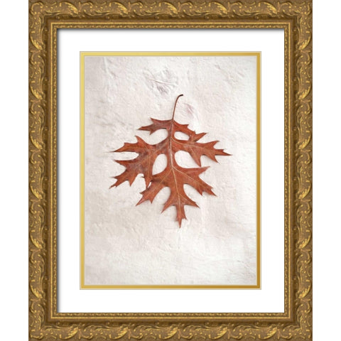 Floral - 27 Gold Ornate Wood Framed Art Print with Double Matting by Blaustein, Alan