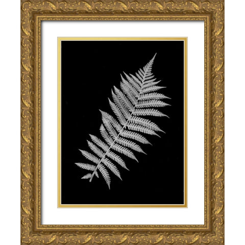 Floral B-W - 18 Gold Ornate Wood Framed Art Print with Double Matting by Blaustein, Alan