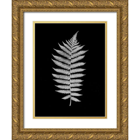 Floral B-W - 19 Gold Ornate Wood Framed Art Print with Double Matting by Blaustein, Alan