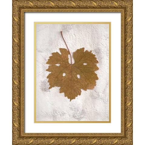 Floral - 28 Gold Ornate Wood Framed Art Print with Double Matting by Blaustein, Alan