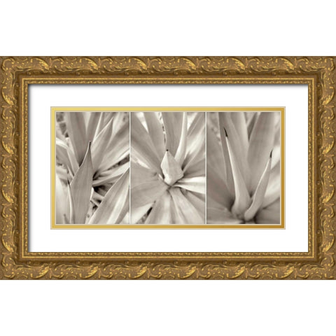 Floral Panel - 4 Gold Ornate Wood Framed Art Print with Double Matting by Blaustein, Alan