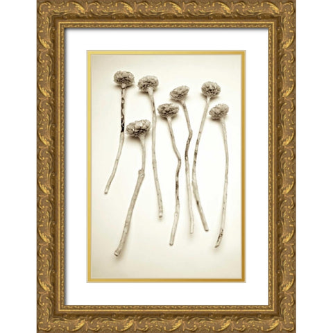 Garden Bloom - 17 Gold Ornate Wood Framed Art Print with Double Matting by Blaustein, Alan