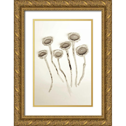 Garden Bloom - 18 Gold Ornate Wood Framed Art Print with Double Matting by Blaustein, Alan