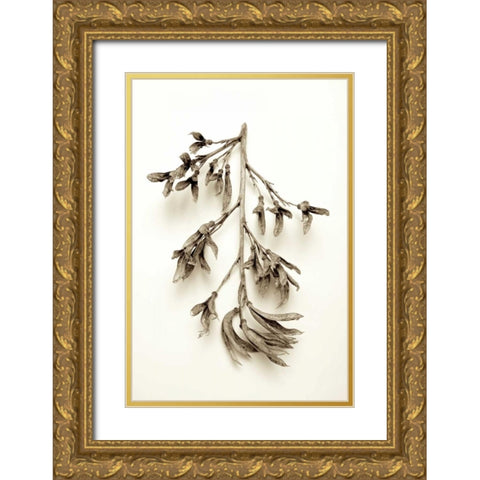 Garden Bloom - 15 Gold Ornate Wood Framed Art Print with Double Matting by Blaustein, Alan