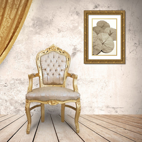 Garden Bloom - 14 Gold Ornate Wood Framed Art Print with Double Matting by Blaustein, Alan