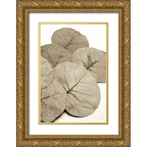 Garden Bloom - 14 Gold Ornate Wood Framed Art Print with Double Matting by Blaustein, Alan