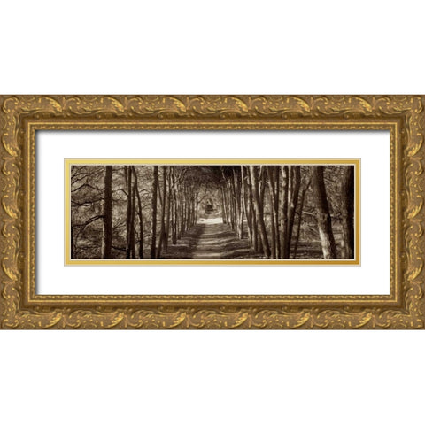Hampton Gates Promenade - 2 Gold Ornate Wood Framed Art Print with Double Matting by Blaustein, Alan
