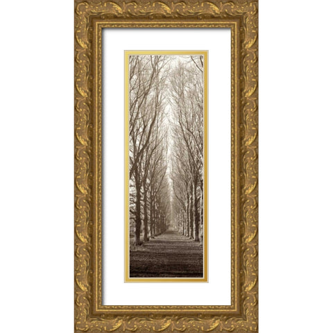 Hampton Gates Promenade Gold Ornate Wood Framed Art Print with Double Matting by Blaustein, Alan