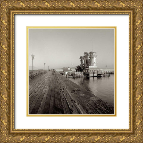 Forbes Island - 1 Gold Ornate Wood Framed Art Print with Double Matting by Blaustein, Alan