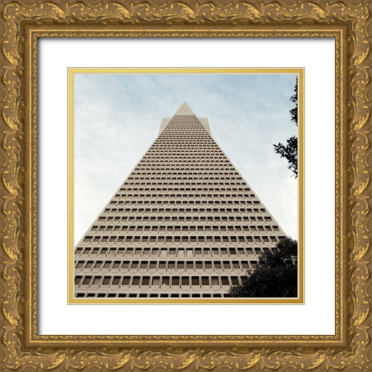 Perspective Image