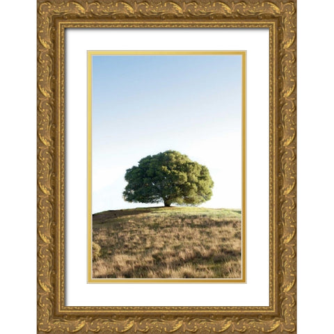 Oak Tree - 77 Gold Ornate Wood Framed Art Print with Double Matting by Blaustein, Alan