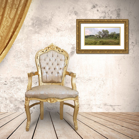 Oak Tree Pano - 133 Gold Ornate Wood Framed Art Print with Double Matting by Blaustein, Alan