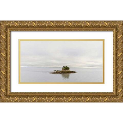 Bay Island Pano - 132 Gold Ornate Wood Framed Art Print with Double Matting by Blaustein, Alan