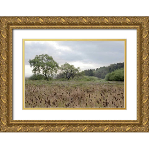 Oak Tree - 81 Gold Ornate Wood Framed Art Print with Double Matting by Blaustein, Alan