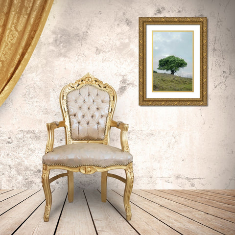 Oak Tree - 80 Gold Ornate Wood Framed Art Print with Double Matting by Blaustein, Alan