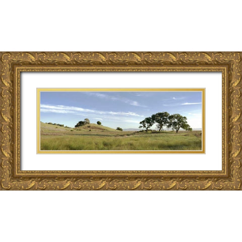 Oak Tree - 82 Gold Ornate Wood Framed Art Print with Double Matting by Blaustein, Alan