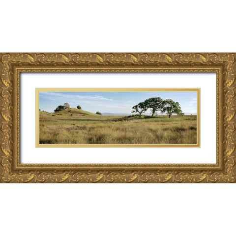Oak Tree - 83 Gold Ornate Wood Framed Art Print with Double Matting by Blaustein, Alan