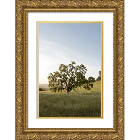 Oak Tree - 87 Gold Ornate Wood Framed Art Print with Double Matting by Blaustein, Alan