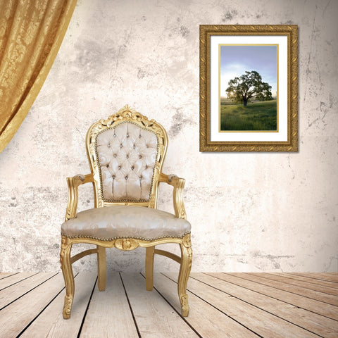 Oak Tree - 95 Gold Ornate Wood Framed Art Print with Double Matting by Blaustein, Alan