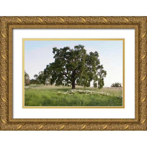 Oak Tree - 93 Gold Ornate Wood Framed Art Print with Double Matting by Blaustein, Alan