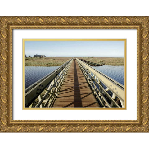 Lagoon Bridge - 2 Gold Ornate Wood Framed Art Print with Double Matting by Blaustein, Alan