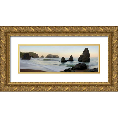 Rodeo Beach pano - 1 Gold Ornate Wood Framed Art Print with Double Matting by Blaustein, Alan