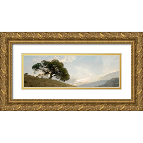 Oak Tree - 10 Pano Gold Ornate Wood Framed Art Print with Double Matting by Blaustein, Alan