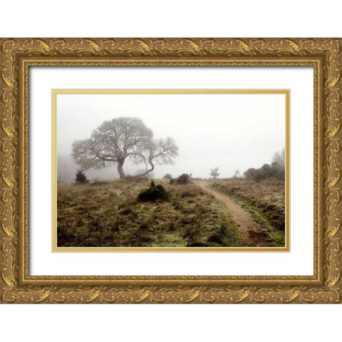 Oak Tree - 25 Gold Ornate Wood Framed Art Print with Double Matting by Blaustein, Alan