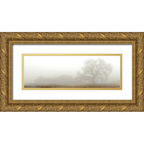 Oak Tree - 27 Gold Ornate Wood Framed Art Print with Double Matting by Blaustein, Alan