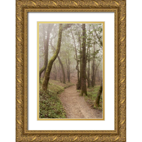 Oak Tree - 22 Gold Ornate Wood Framed Art Print with Double Matting by Blaustein, Alan