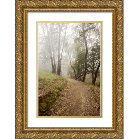 Oak Tree - 19 Gold Ornate Wood Framed Art Print with Double Matting by Blaustein, Alan