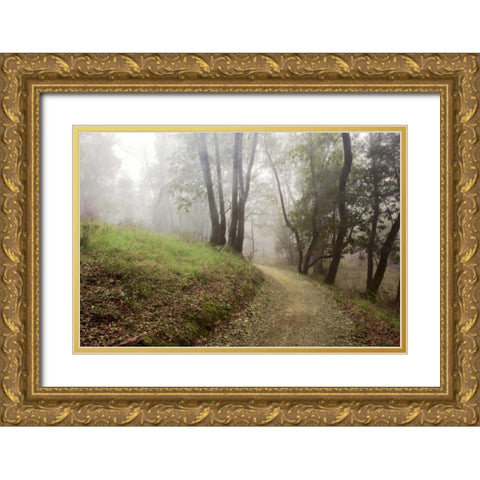 Oak Tree - 18 Gold Ornate Wood Framed Art Print with Double Matting by Blaustein, Alan