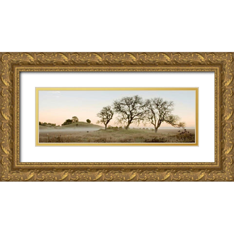 Oak Tree - 32 Gold Ornate Wood Framed Art Print with Double Matting by Blaustein, Alan