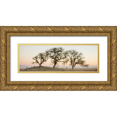 Oak Tree - 30 Gold Ornate Wood Framed Art Print with Double Matting by Blaustein, Alan
