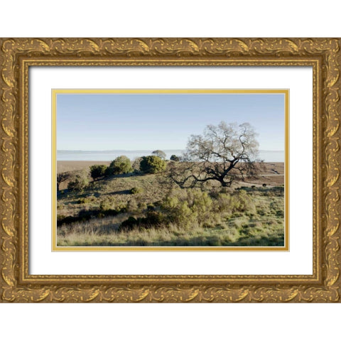 Oak Tree - 38 Gold Ornate Wood Framed Art Print with Double Matting by Blaustein, Alan