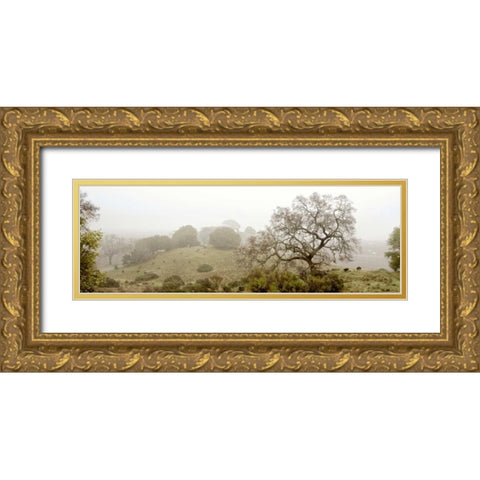 Oak Tree - 41 Gold Ornate Wood Framed Art Print with Double Matting by Blaustein, Alan