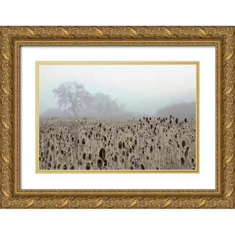 Oak Tree - 61 Gold Ornate Wood Framed Art Print with Double Matting by Blaustein, Alan