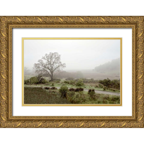 Oak Tree - 57 Gold Ornate Wood Framed Art Print with Double Matting by Blaustein, Alan