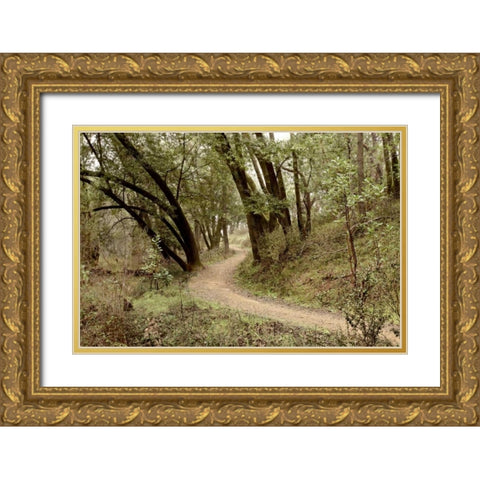 Oak Tree - 51 Gold Ornate Wood Framed Art Print with Double Matting by Blaustein, Alan