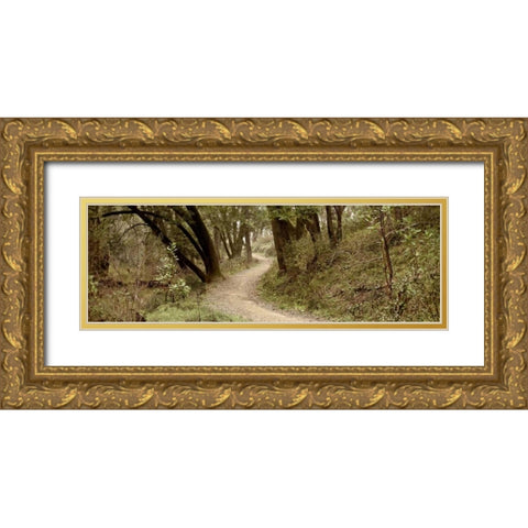 Oak Tree - 50 Gold Ornate Wood Framed Art Print with Double Matting by Blaustein, Alan