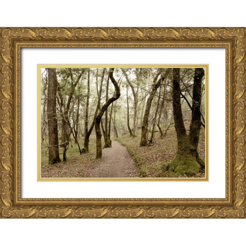 Oak Tree - 47 Gold Ornate Wood Framed Art Print with Double Matting by Blaustein, Alan