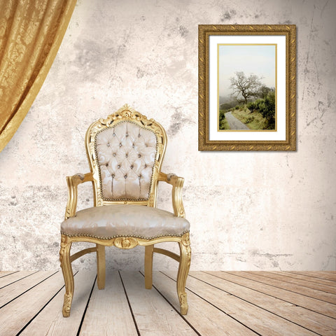 Oak Tree - 45 Gold Ornate Wood Framed Art Print with Double Matting by Blaustein, Alan